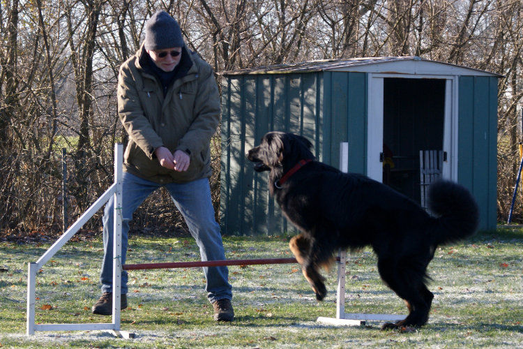 Agility Fun Jumper - Tunnel