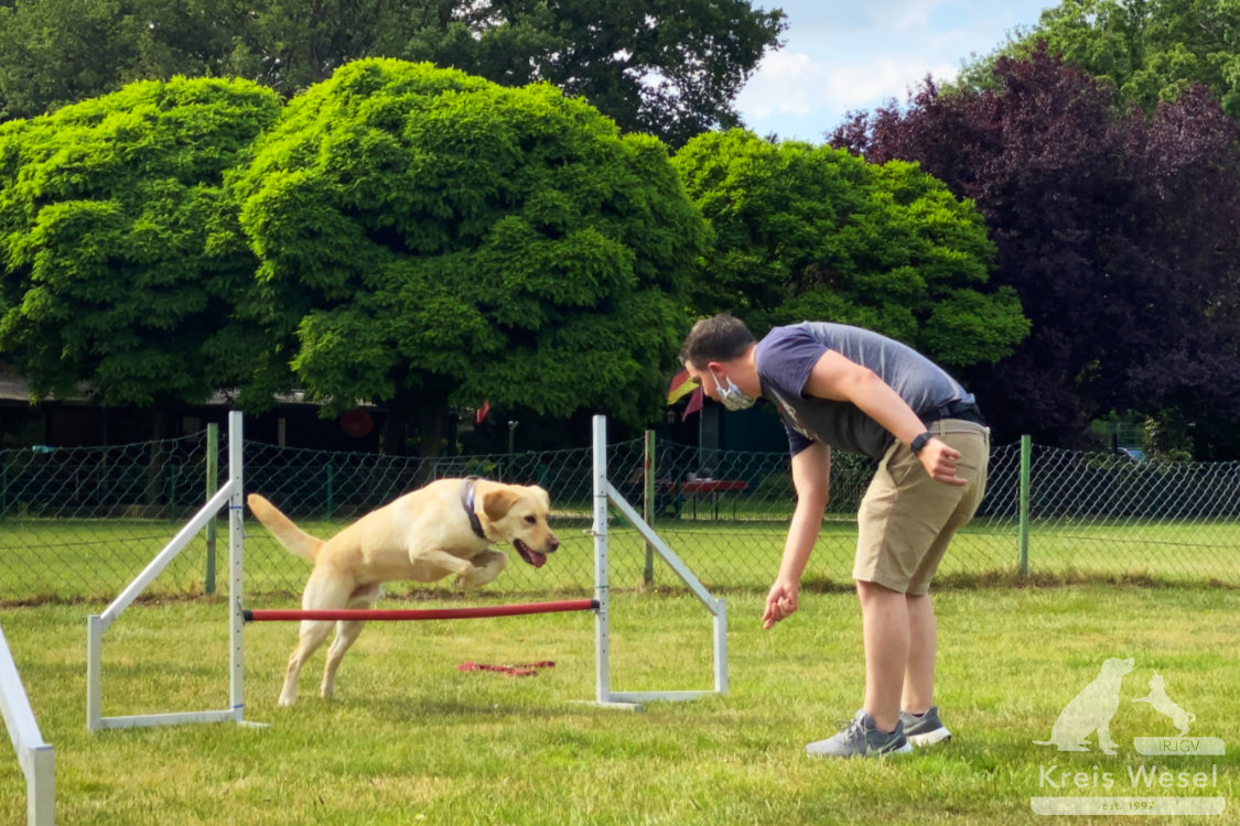 Agility, sportlich mit dem Hund beim IRJGV Kreis Wesel