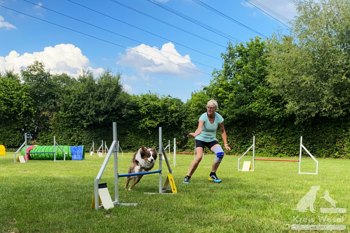 Agility, sportlich mit dem Hund beim IRJGV Kreis Wesel