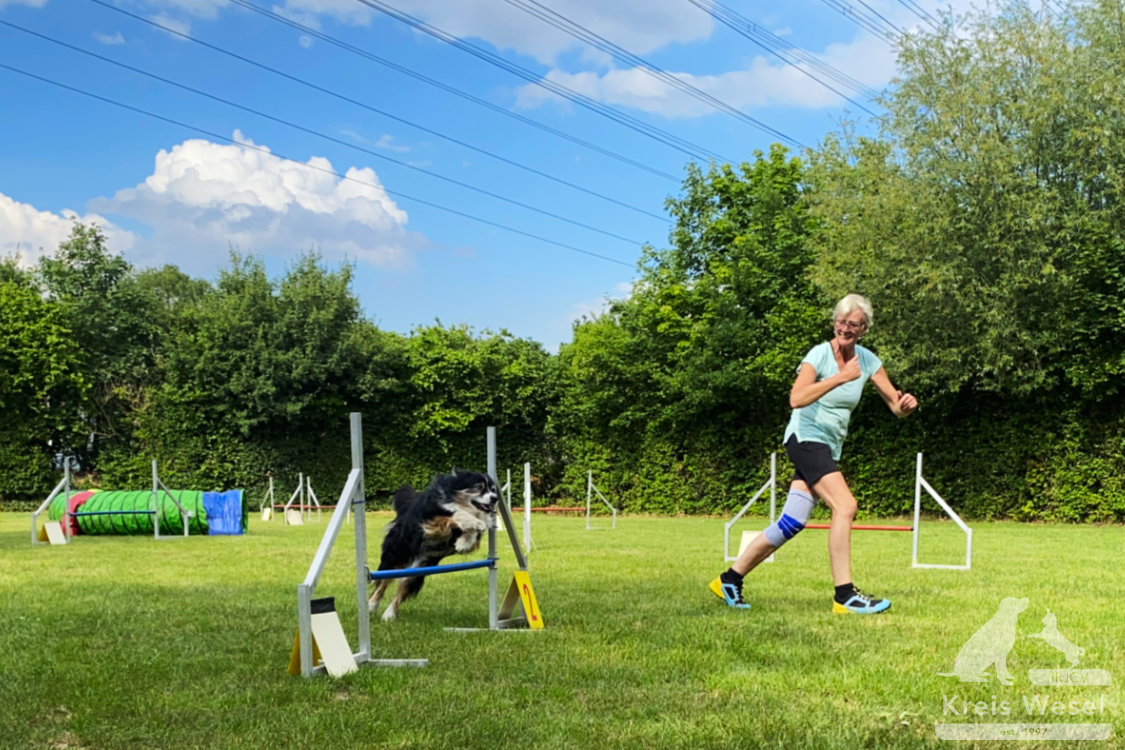 Agility, sportlich mit dem Hund beim IRJGV Kreis Wesel