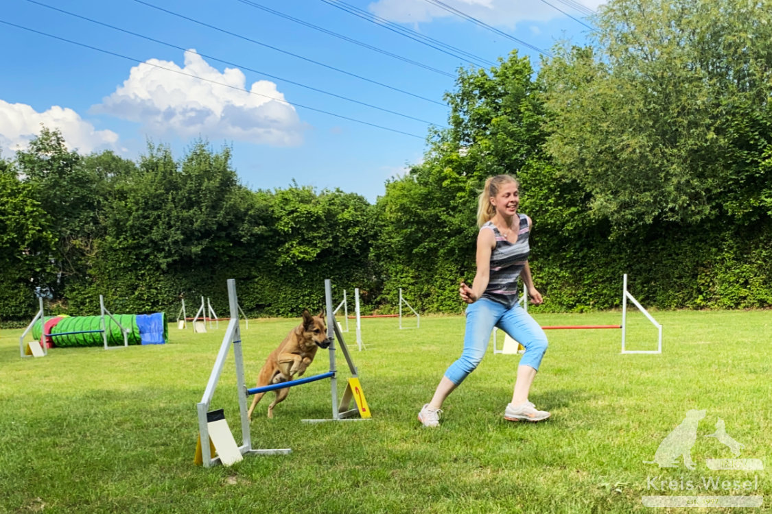 Agility, sportlich mit dem Hund beim IRJGV Kreis Wesel