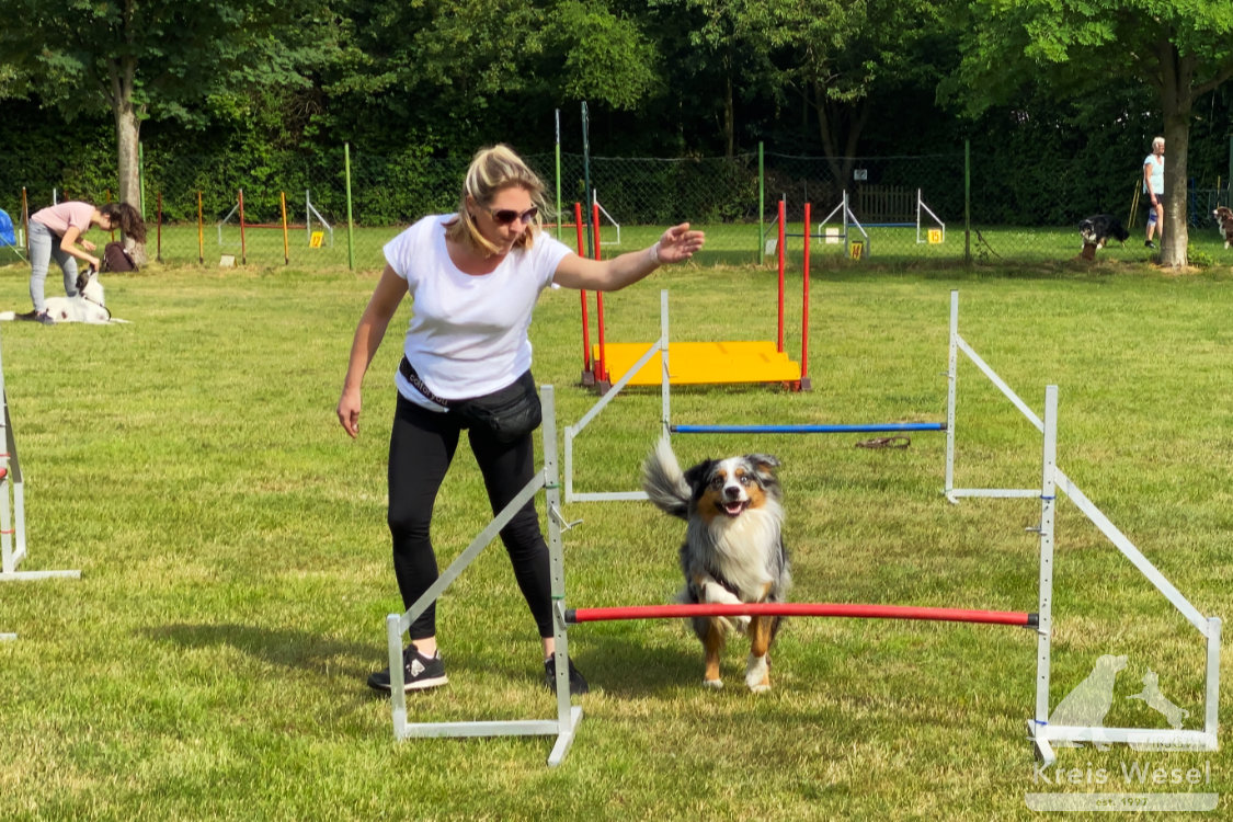 Agility, sportlich mit dem Hund beim IRJGV Kreis Wesel