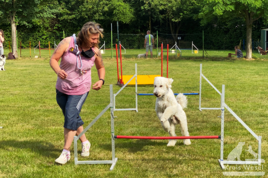 Agility, sportlich mit dem Hund beim IRJGV Kreis Wesel