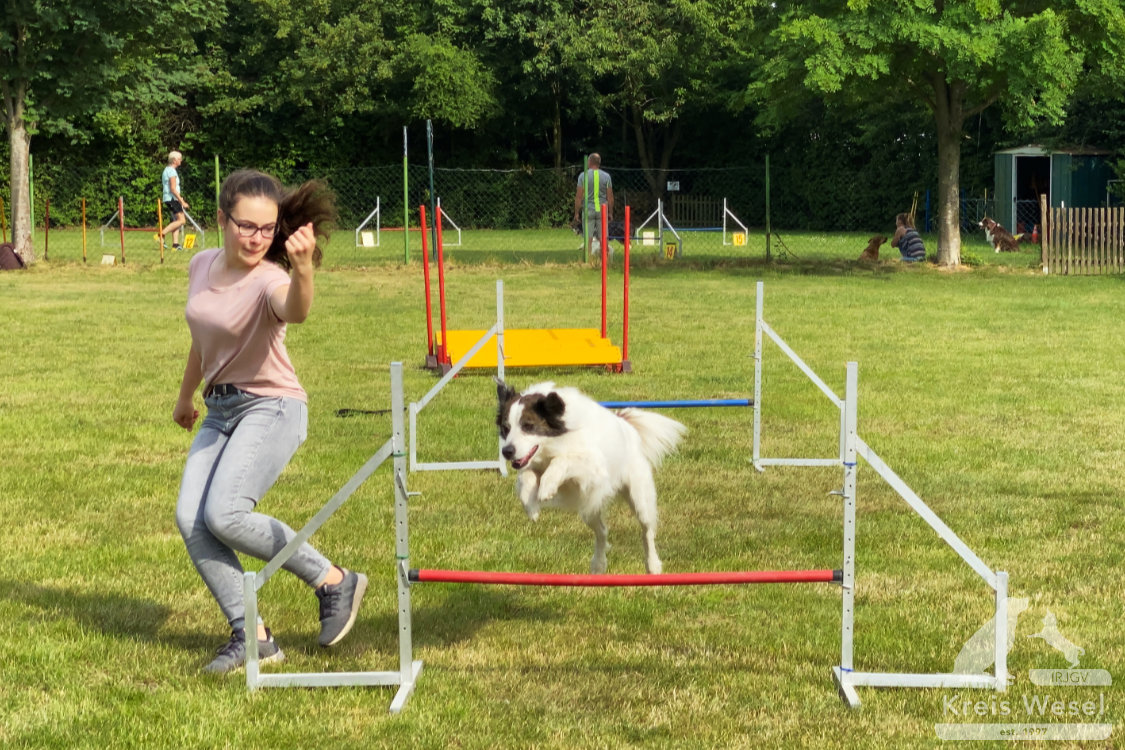 Agility, sportlich mit dem Hund beim IRJGV Kreis Wesel