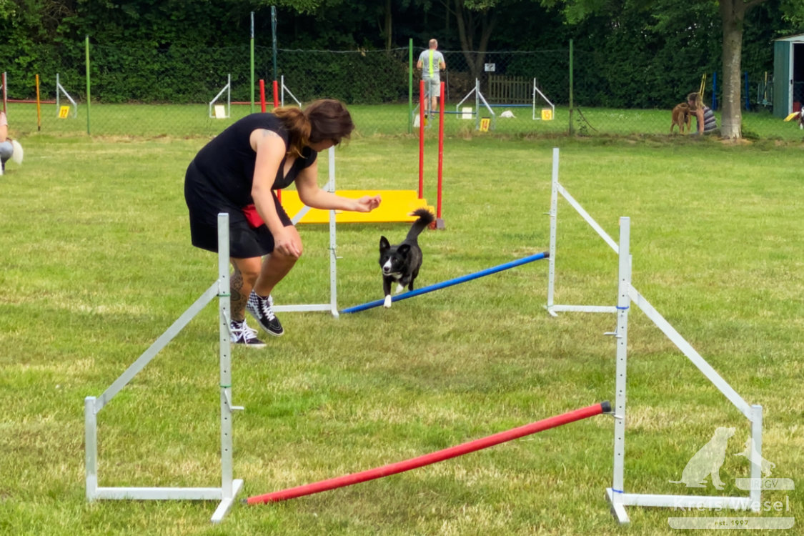 Agility, sportlich mit dem Hund beim IRJGV Kreis Wesel