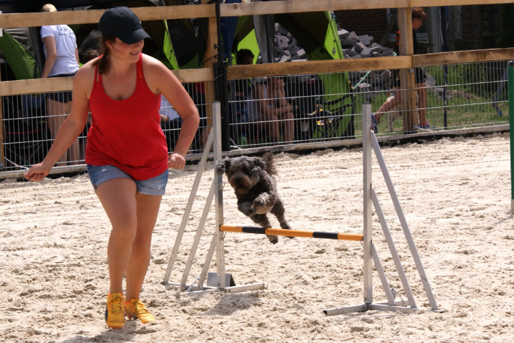 Elena und Marley, Jumping