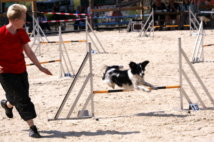 Sonja und Bones, AG-Lauf