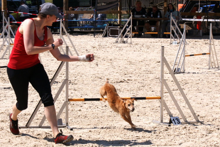 Katja und Bica, AG-Lauf