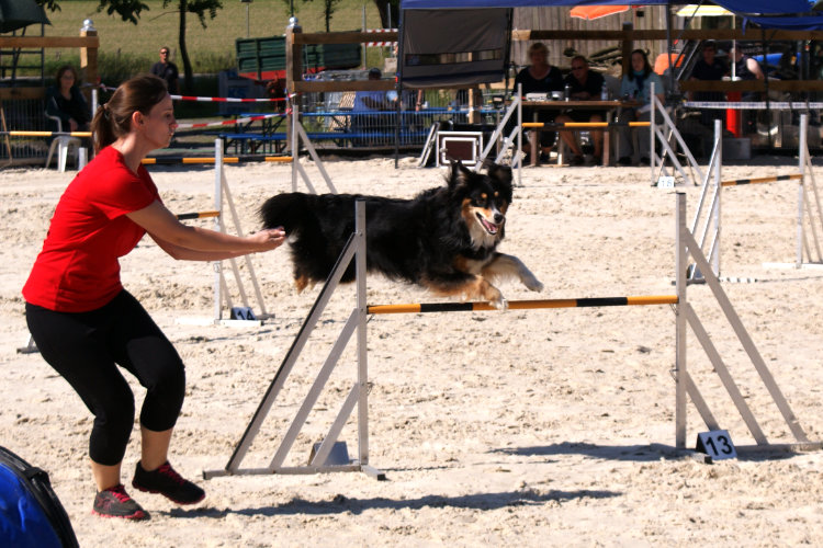 Sabrina und Blue, AG-Lauf