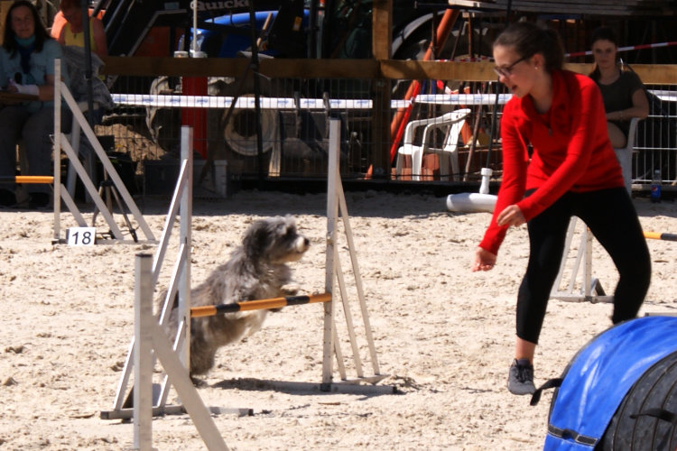 Emma und Abby, AG-Lauf