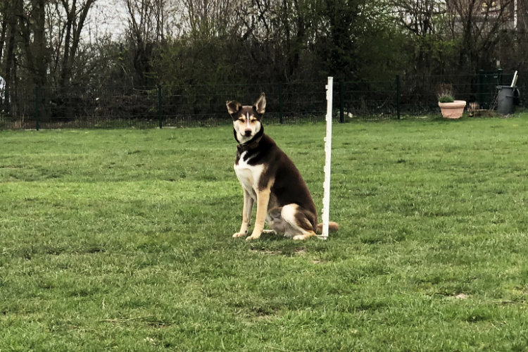 Benni im Absitz