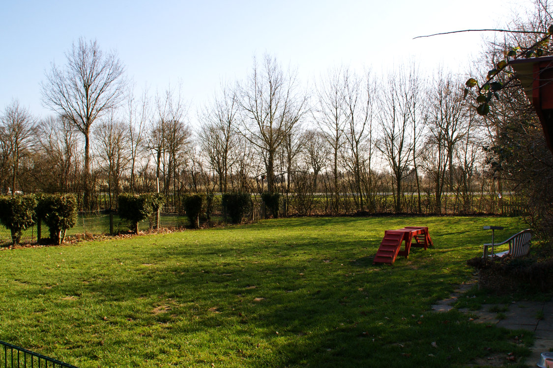 Fokus auf den Welpenplatz