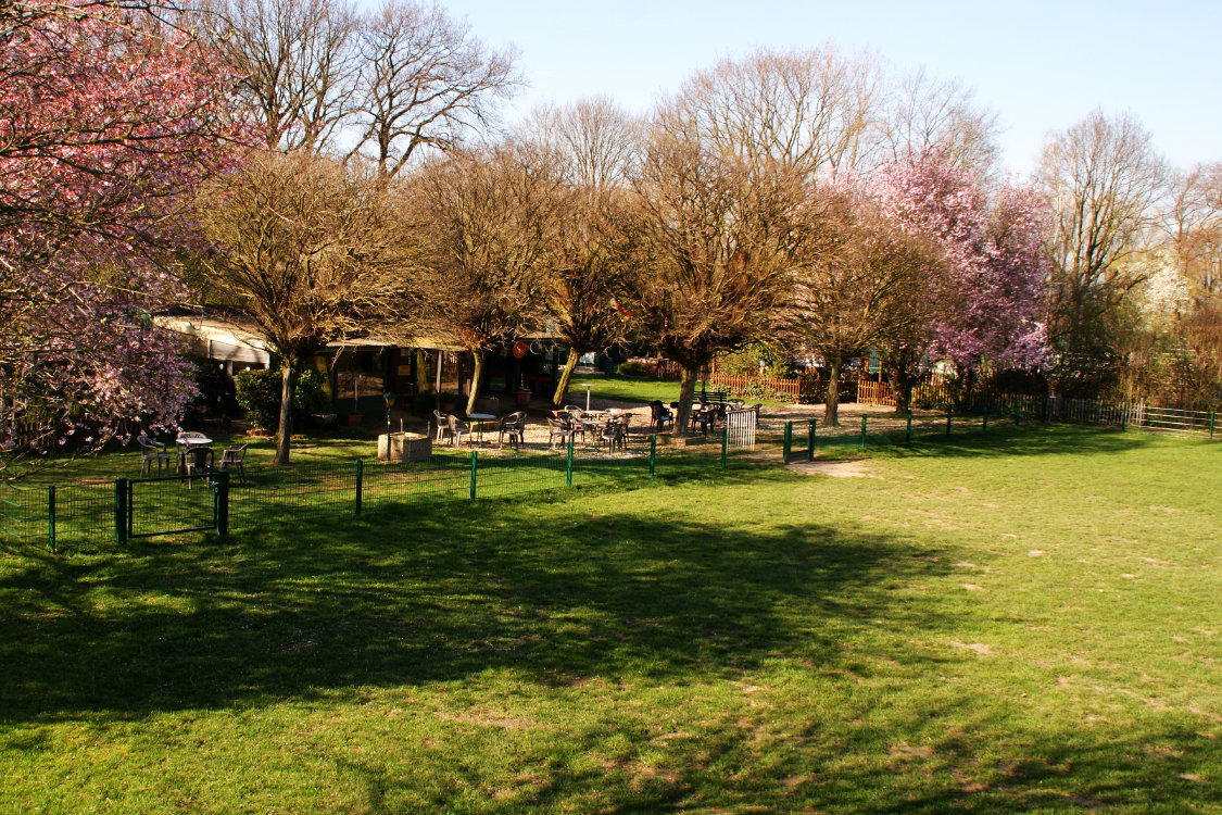 Blick auf den Aufenthaltsbereich und 1. Trainingsplatz