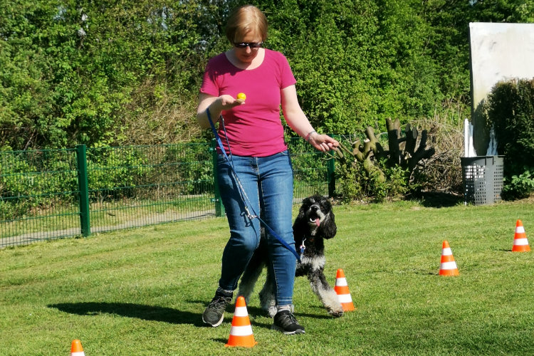 Frohe Ostern wünschen wir!