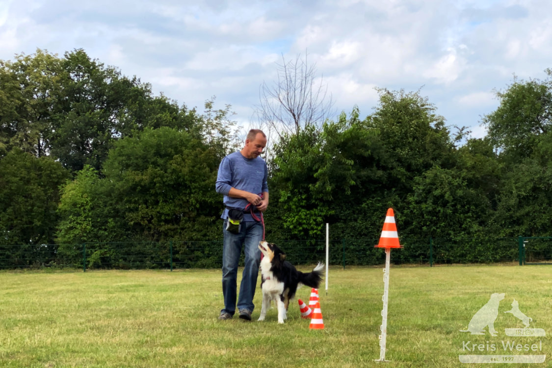 Hundeausbildung, beim IRJGV Kreis Wesel, Bindung und Vertrauen stärken