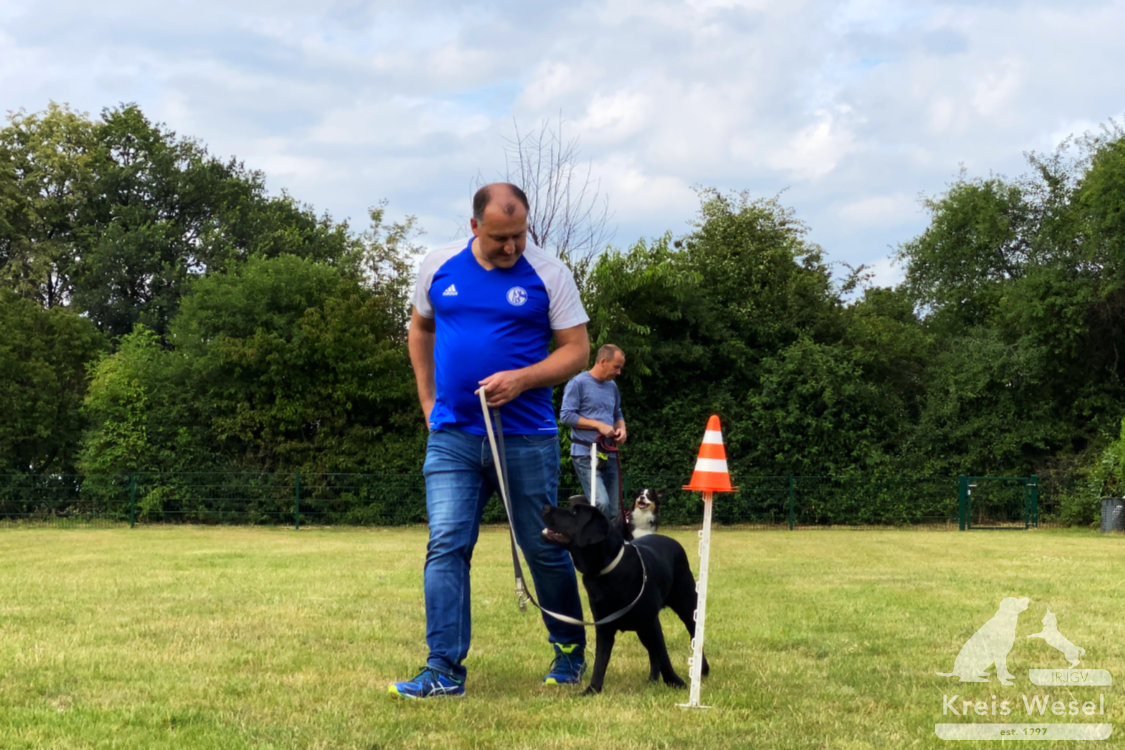 Hundeausbildung, beim IRJGV Kreis Wesel, Bindung und Vertrauen stärken