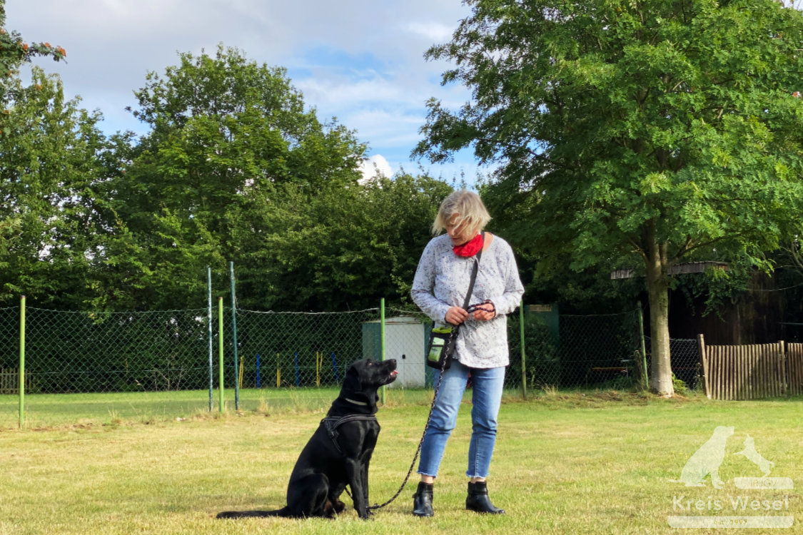 Hundeausbildung, beim IRJGV Kreis Wesel, Bindung und Vertrauen stärken