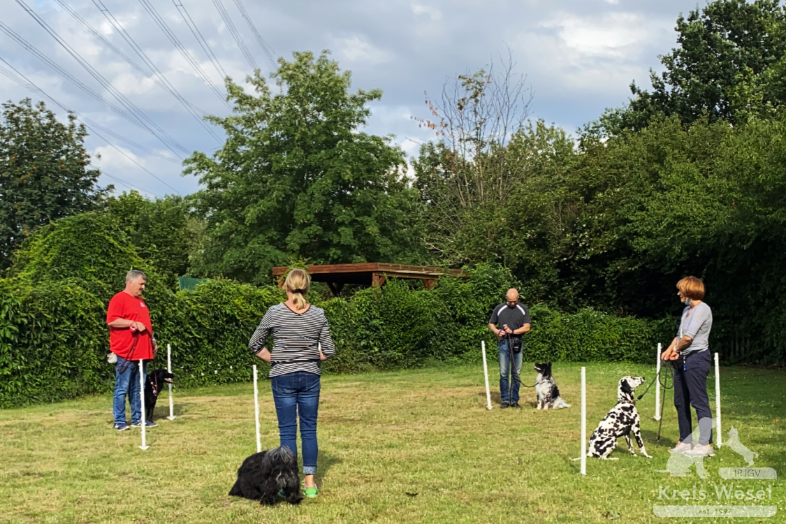 Hundeausbildung, beim IRJGV Kreis Wesel, Bindung und Vertrauen stärken