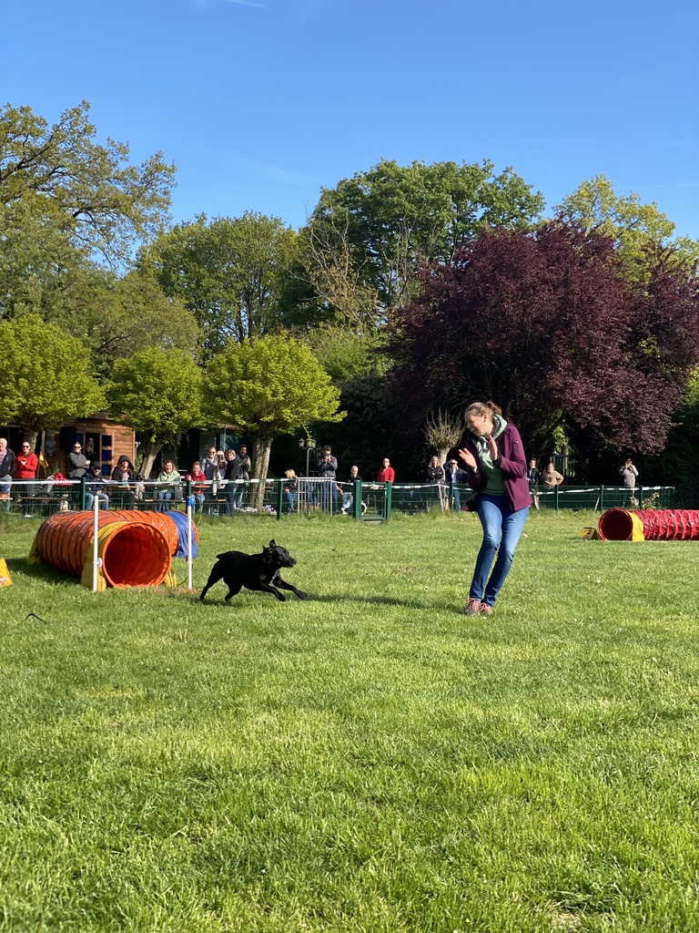 Freude beim Lauf von Hildegard