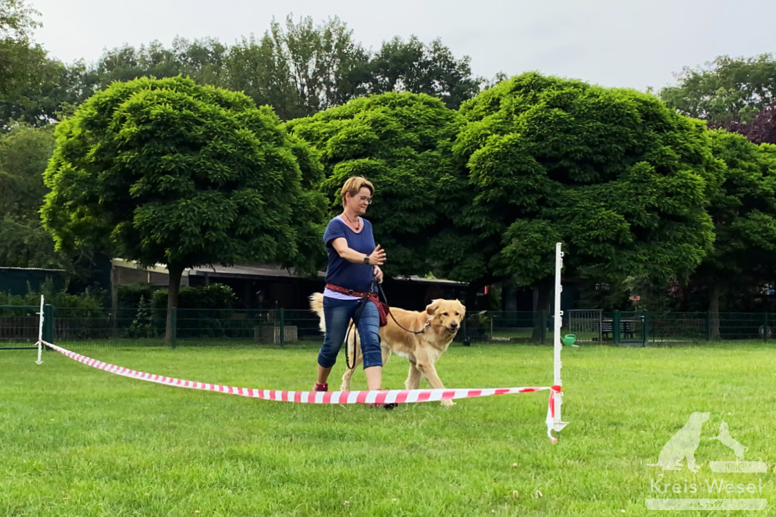 Hundeausbildung, beim IRJGV Kreis Wesel, Bindung und Vertrauen stärken