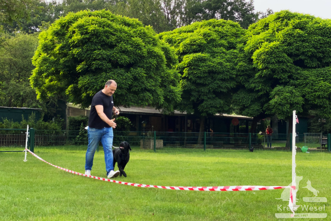 Hundeausbildung, beim IRJGV Kreis Wesel, Bindung und Vertrauen stärken