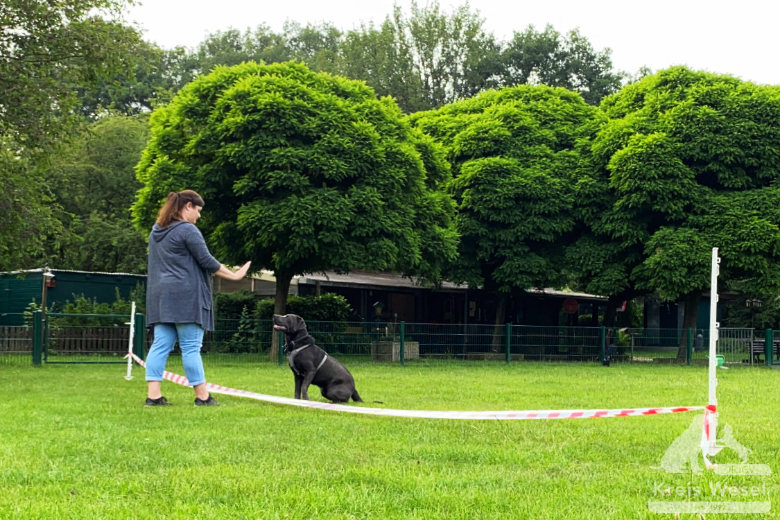 Hundeausbildung, beim IRJGV Kreis Wesel, Bindung und Vertrauen stärken