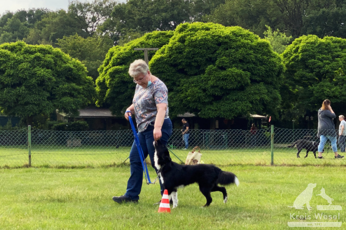 Hundeausbildung, beim IRJGV Kreis Wesel, Bindung und Vertrauen stärken