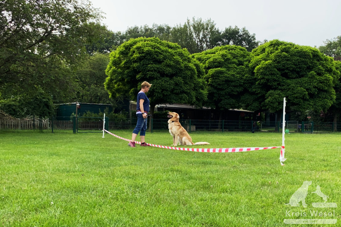 Hundeausbildung, beim IRJGV Kreis Wesel, Bindung und Vertrauen stärken