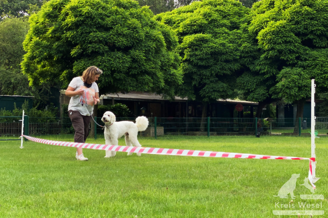 Hundeausbildung, beim IRJGV Kreis Wesel, Bindung und Vertrauen stärken