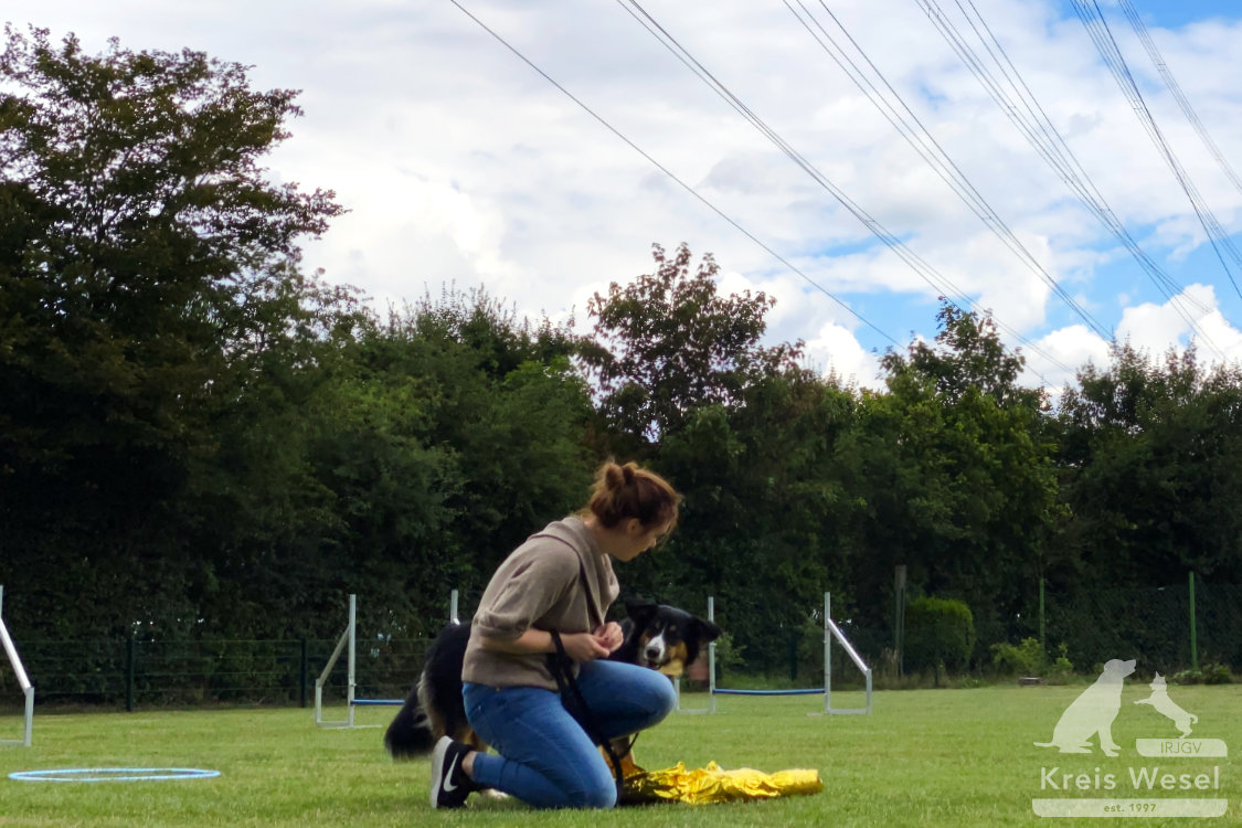 Hundeausbildung, Pfote in Hand beim IRJGV Kreis Wesel