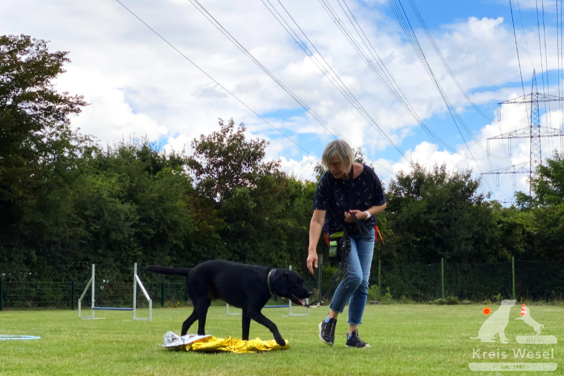 Hundeausbildung, Pfote in Hand beim IRJGV Kreis Wesel