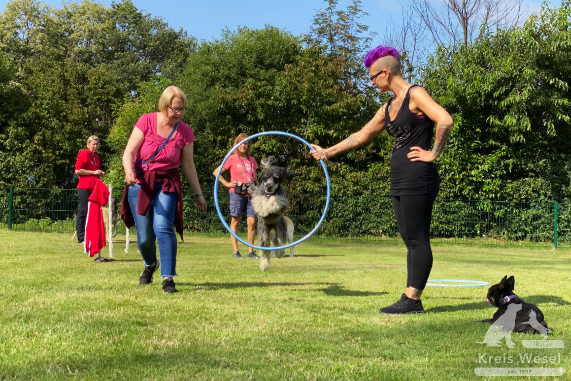 Hundeausbildung, Pfote in Hand beim IRJGV Kreis Wesel