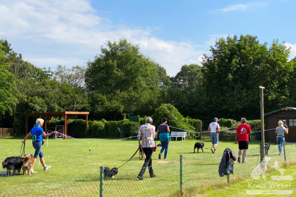 Hundeausbildung, Pfote in Hand beim IRJGV Kreis Wesel