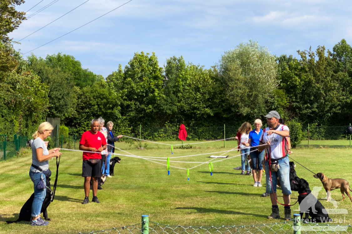 Hundeausbildung, Pfote in Hand beim IRJGV Kreis Wesel