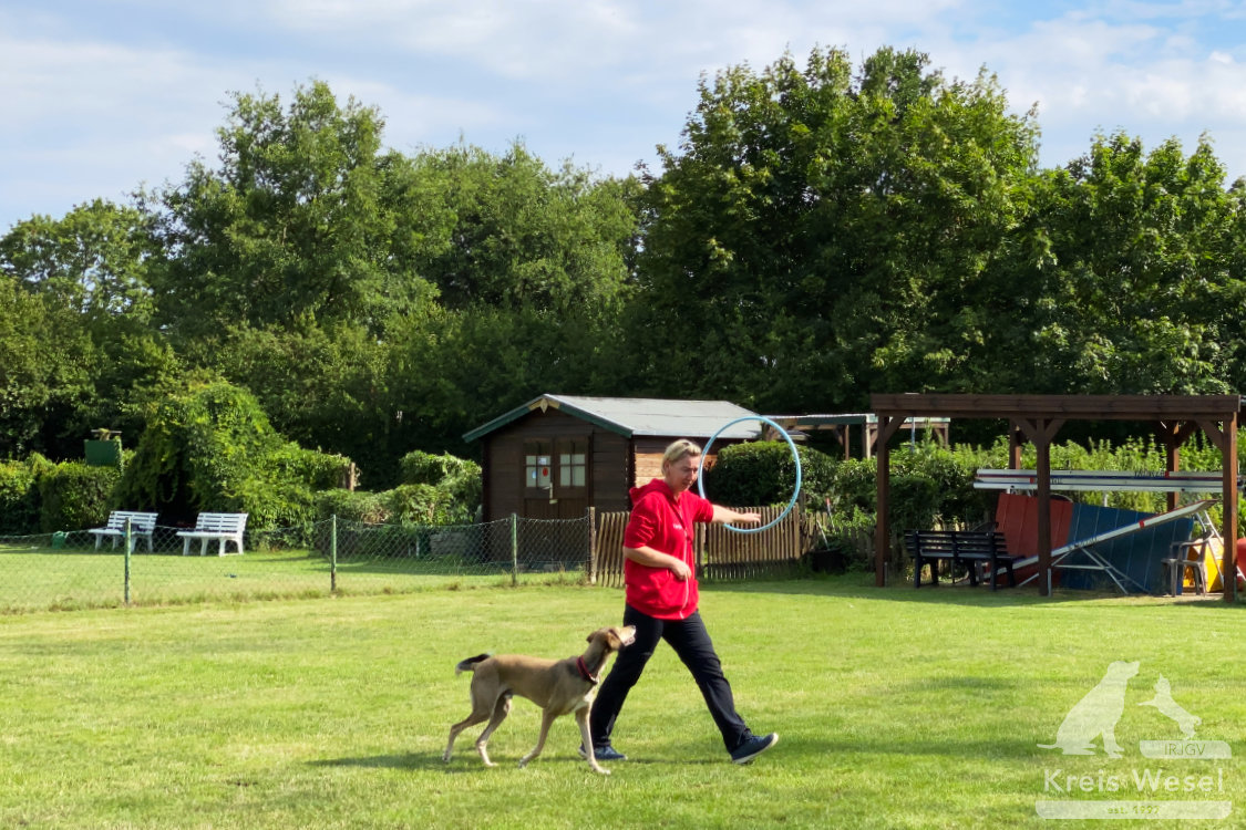 Hundeausbildung, Pfote in Hand beim IRJGV Kreis Wesel