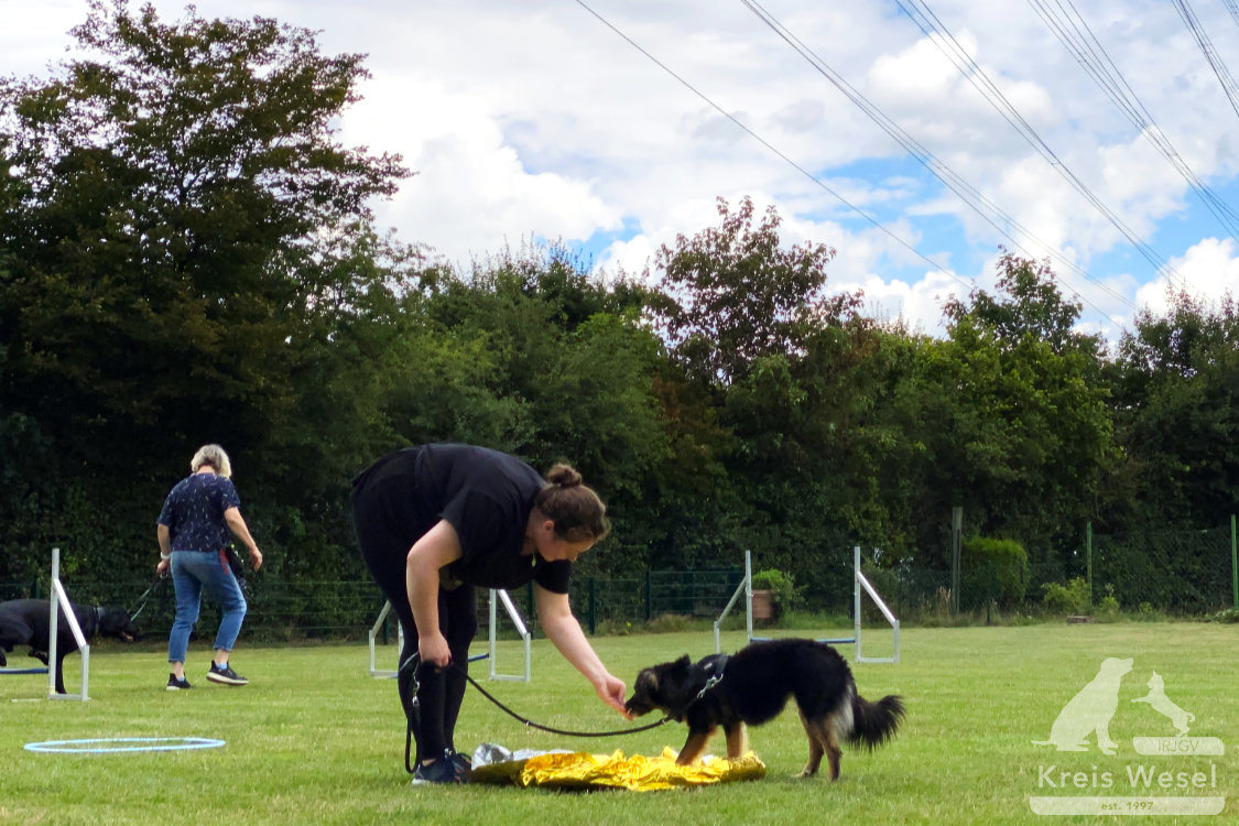 Hundeausbildung, Pfote in Hand beim IRJGV Kreis Wesel