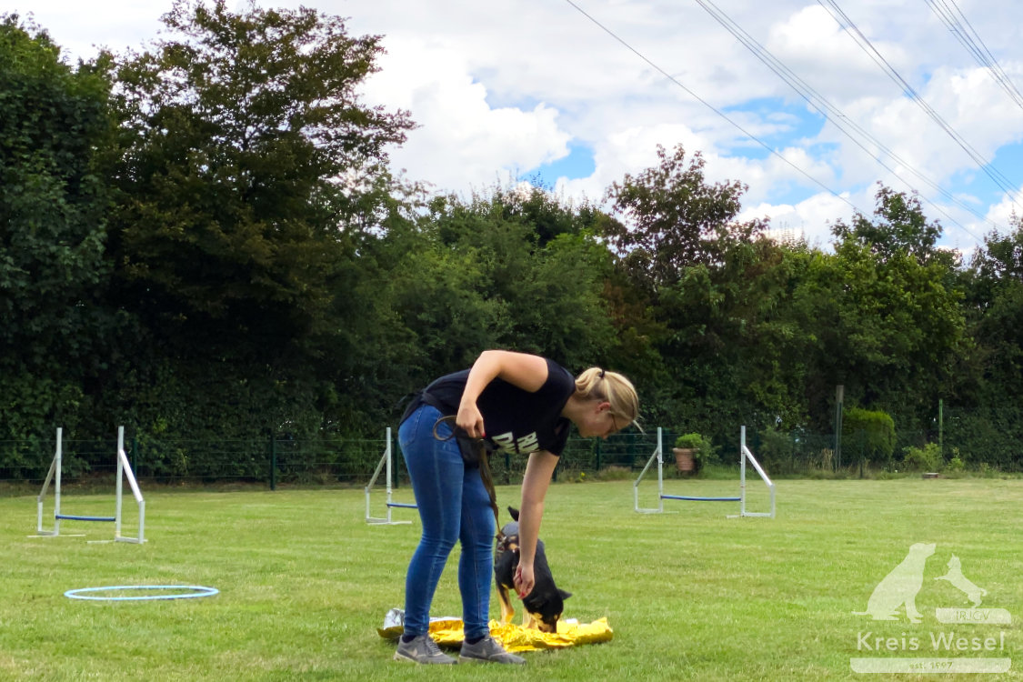 Hundeausbildung, Pfote in Hand beim IRJGV Kreis Wesel