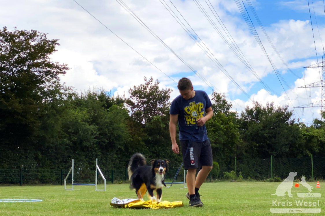 Hundeausbildung, Pfote in Hand beim IRJGV Kreis Wesel