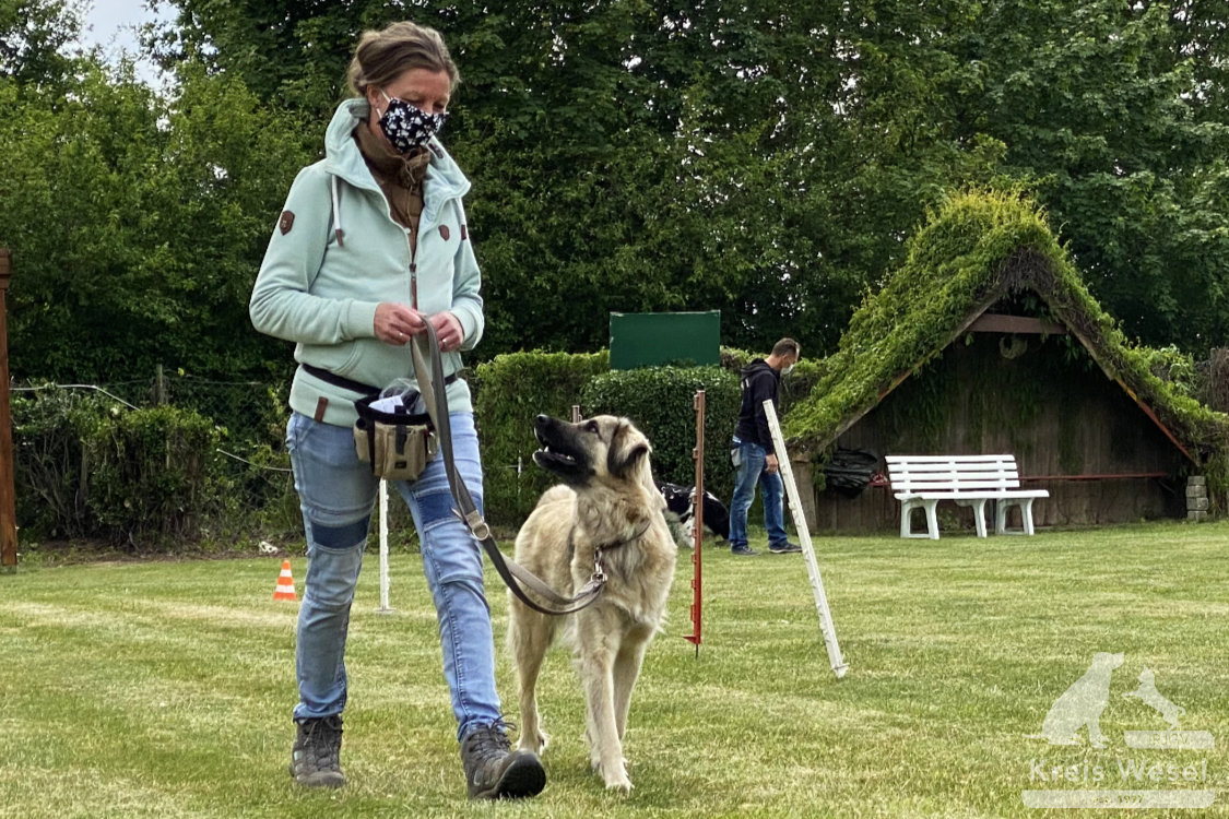 Hundeausbildung, Unter Abstandsregelung, IRJGV Kreis Wesel