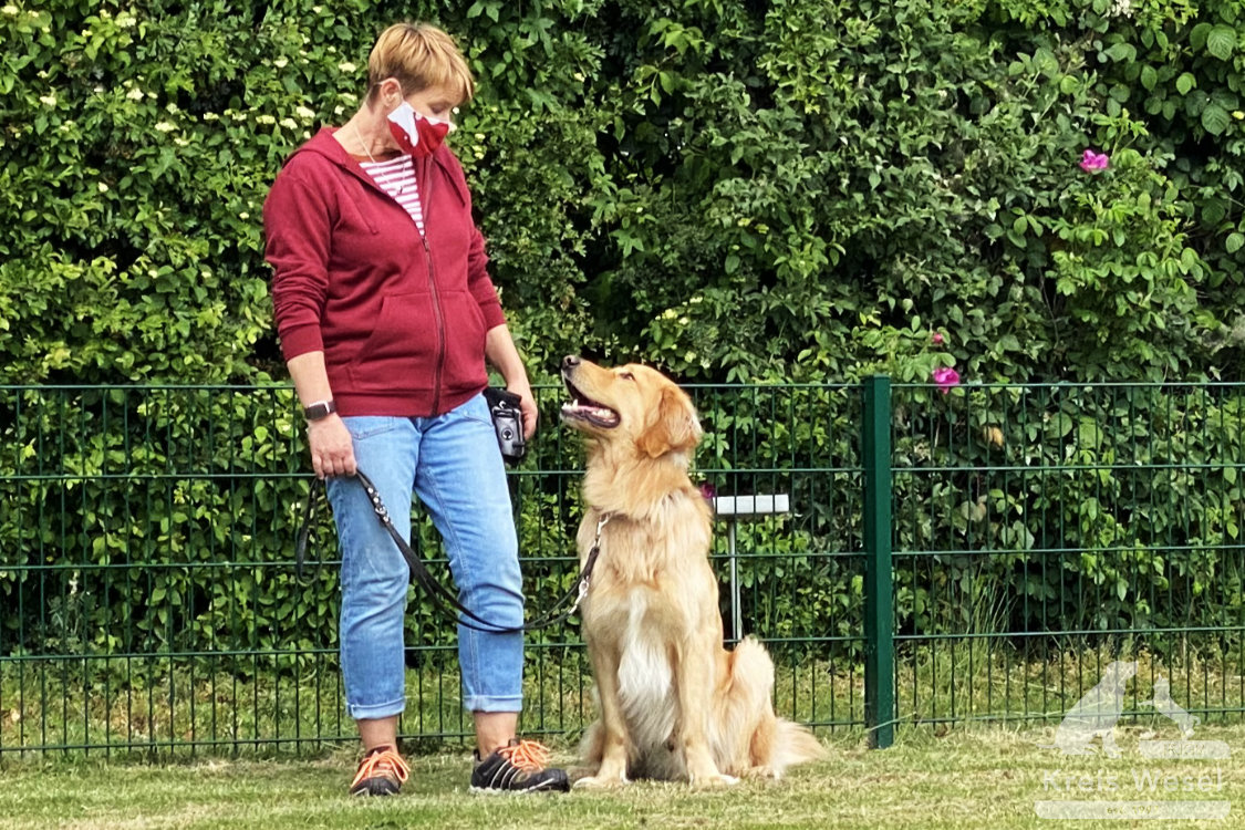 Hundeausbildung, Unter Abstandsregelung, IRJGV Kreis Wesel