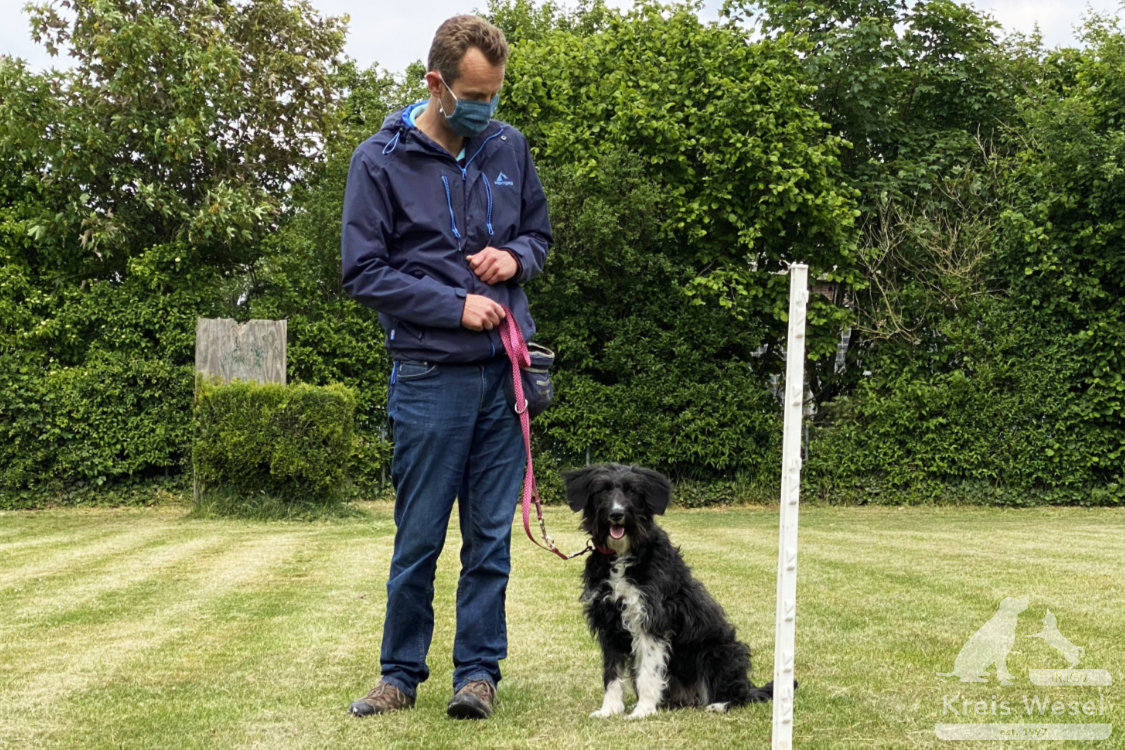 Hundeausbildung, Unter Abstandsregelung, IRJGV Kreis Wesel