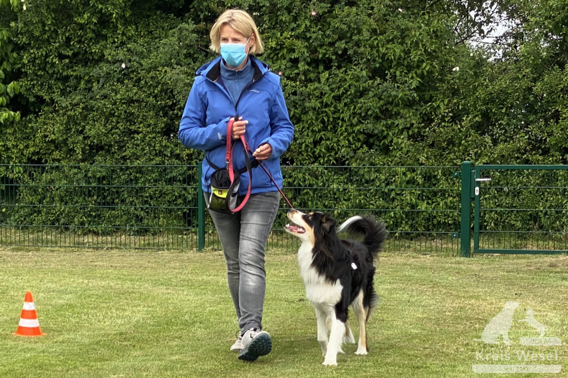 Hundeausbildung, Unter Abstandsregelung, IRJGV Kreis Wesel