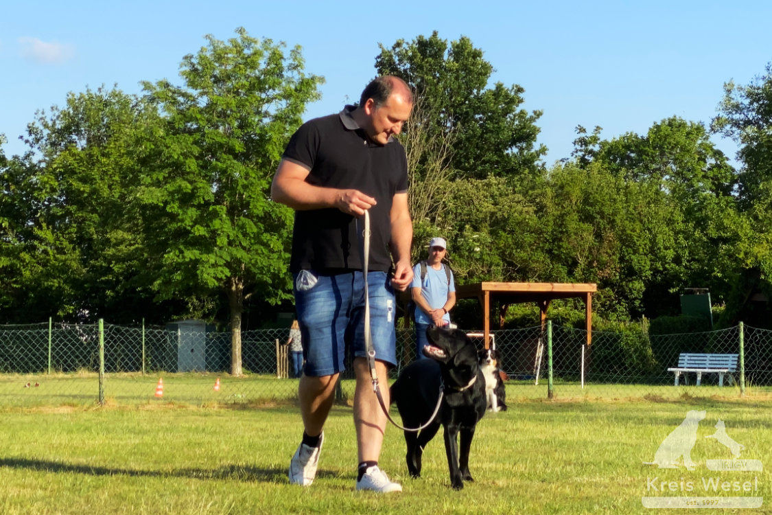 Hundeausbildung, Unter Abstandsregelung, IRJGV Kreis Wesel