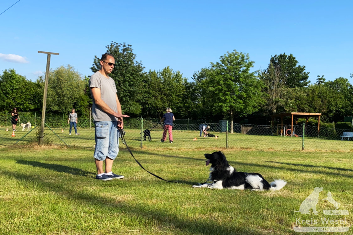 Hundeausbildung, Unter Abstandsregelung, IRJGV Kreis Wesel