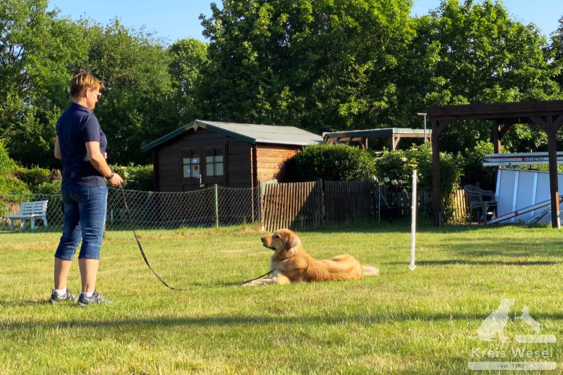 Hundeausbildung, Unter Abstandsregelung, IRJGV Kreis Wesel