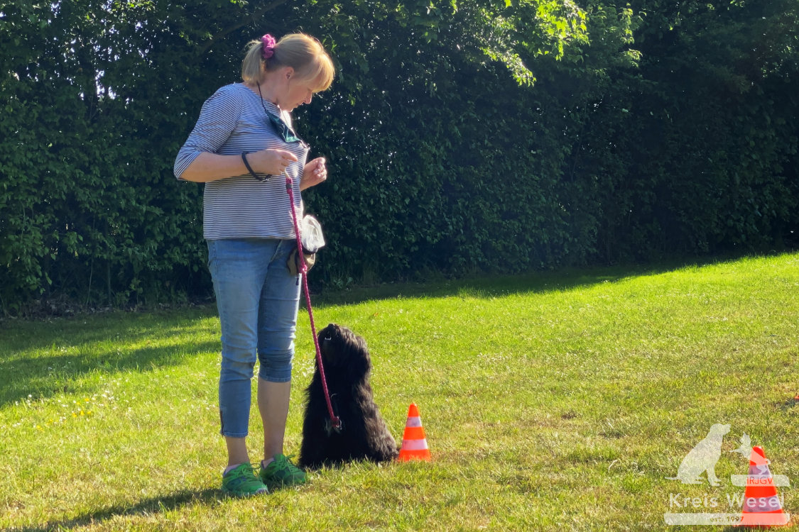 Hundeausbildung, Unter Abstandsregelung, IRJGV Kreis Wesel